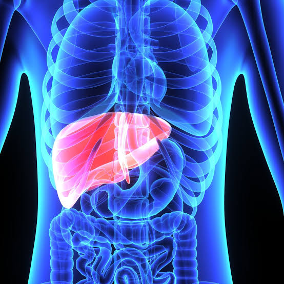 Liver Package image